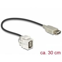 Delock Keystone Module USB 2.0 A female > USB 2.0 A female 250° with cable