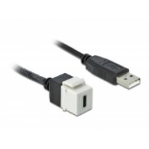 Delock Keystone Module USB 2.0 C female > USB 2.0 A male with cable