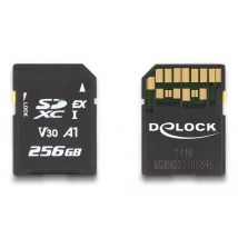 Delock SD Express 256GB muistikortti