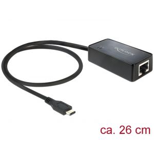 Delock USB-C™ (USB 3.1) port – RJ45 Gigabit adapteri