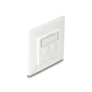 Delock Keystone Wall Outlet 2 Port compact