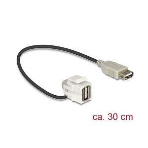 Delock Keystone module USB 2.0 A female > USB 2.0 A female 110° with cable