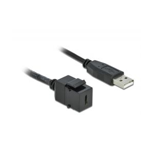 Delock Keystone Module USB 2.0 C female > USB 2.0 A male with cable