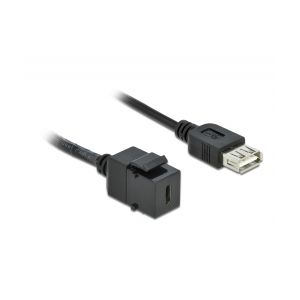Delock Keystone Module USB 2.0 C female > USB 2.0 A female with cable