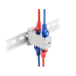 Delock RJ45-jatkoliitin Cat.6A, kaksoisjakki-jakki DIN-kiskoon kiinnitys, harmaa