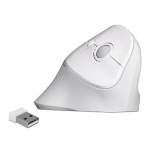 Delock langaton ergonominen pystyhiiri, valkoinen