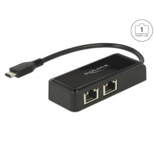 Delock USB Type-C 2 x Gigabit LAN adapteri