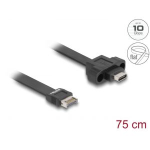 Delock USB 10 Gbps litteäkaapeli Type-E Key A 20 pin uros - USB-C naaras panel-mount 75 cm