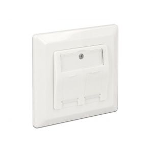 Delock Keystone Wall Outlet 2 port