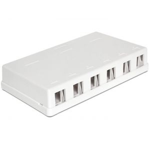 Delock Keystone -pinta-asennuslaatikko 6 -porttia