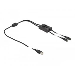 Delock USB Type-A uros - 2 x DC 5.5 x 2.1 mm naaras On/Off kytkimellä 1 m