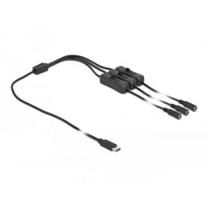 Delock USB Type-C uros - 3 x DC 5.5 x 2.1 mm naaras On/Off kytkimellä 1 m