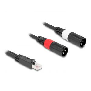 Delock RJ45 - 2 x XLR 3 pin uros musta 2 m kaapeli