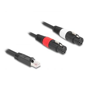 Delock RJ45 - 2 x XLR 3 pin naaras musta 2 m kaapeli