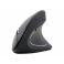 Gembird Ergonominen 6-painikkeinen langaton optinen hiiri