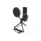 Delock USB Condenser Mikrofoni Set podcast tuottajille, pelaajille