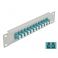 Delock 10" kuituoptiikkapaneeli 12-porttinen LC Duplex 1U aqua/harmaa
