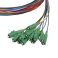 Logilink "pigtail" optinen kuitukaapeli 12 x LC/APC OS2 (G657.A1), 2m, värillinen